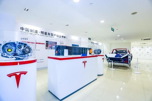 管中窺豹 上海超級工廠主題展登陸山城，揭秘特斯拉硬核科技與重慶心理咨詢跨界融合