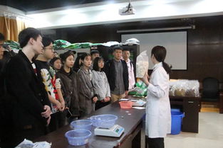 引領心理成長，成就青春夢想 重慶市大學生心理成長微課比賽暨青馬工程大骨班學員心理健康培訓圓滿落幕