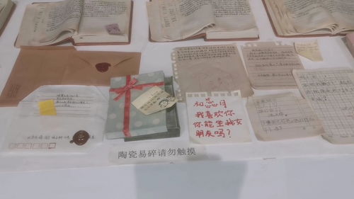 瓷語(yǔ)童年 重慶現(xiàn)代藝術(shù)館的作業(yè)本驚喜與都市心靈對(duì)話